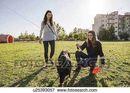 Stock Photo - Sisters playing with dog in park. Fotosearch