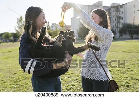 Sisters playing with dog in park View Large Photo Image Stock Photo - Sisters playing with dog in park. Fotosearch