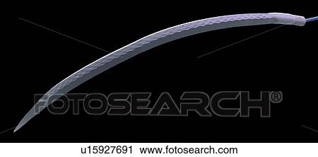 Surgical needle, SEM View Large Photo Image Stock Image - Surgical needle, SEM. Fotosearch