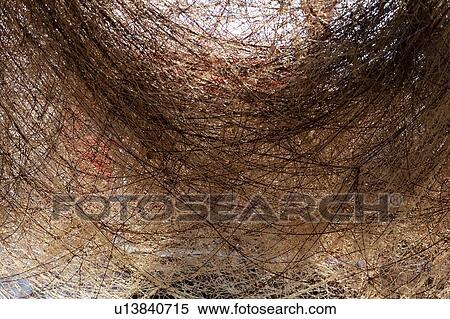 Tangled web of fishing net View Large Photo Image Stock Photography - Tangled web of fishing net. Fotosearch