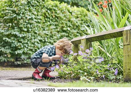 Toddler discovering plant in park View Large Photo Image Stock Photo - Toddler discovering plant in park. Fotosearch