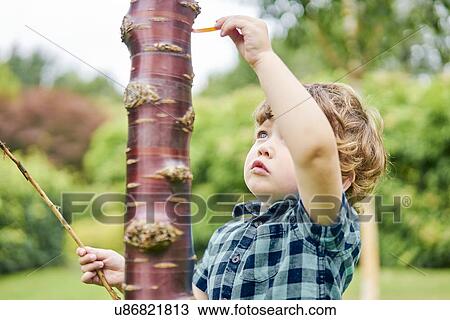 Toddler discovering unusual tree in park View Large Photo Image Stock Image - Toddler discovering unusual tree in park. Fotosearch