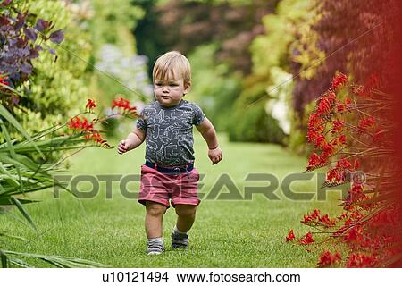 Picture - Toddler exploring park. Fotosearch