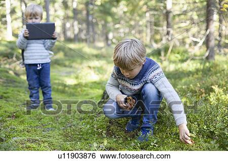 Stock Photograph - Toddler taking photograph of brother picking up wild mushrooms in forest. Fotosearch