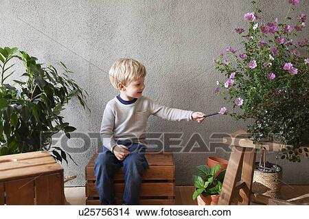 Picture - Toddler touching flower with stick in indoor garden. Fotosearch