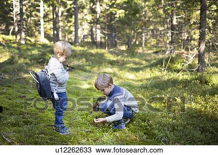 Toddler watching brother picking up wild mushrooms in forest View Large Photo Image Stock Image - Toddler watching brother picking up wild mushrooms in forest. Fotosearch