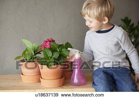 Toddler watering potted flower in indoor garden View Large Photo Image Stock Photo - Toddler watering potted flower in indoor garden. Fotosearch