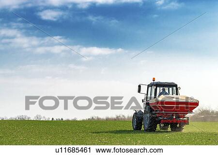 Tractor fertilizing wheat crop field with NPK View Large Photo Image Stock Image - Tractor fertilizing wheat crop field with NPK. Fotosearch