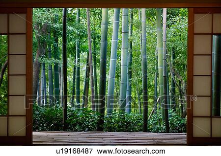 Traditional japanese house in bamboo forest View Large Photo Image Stock Photo - Traditional japanese house in bamboo forest. Fotosearch