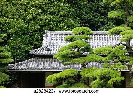 Stock Photo - Traditional japanese house in bamboo forest. Fotosearch