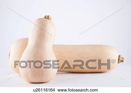 Two butternut Squash View Large Photo Image Picture - Two butternut Squash. Fotosearch