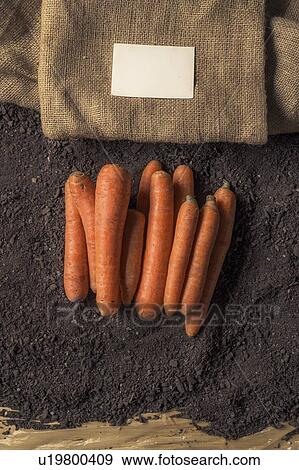 Stock Photo - Vegetable business, conceptual image. Fotosearch
