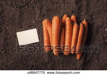Stock Photography - Vegetable business, conceptual image. Fotosearch