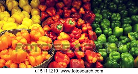 Stock Photo - View of multicolored bell peppers on display in market. Fotosearch
