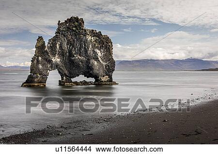 Picture - Volcanic rock formation in the shallows on a black sand beach, Hvitserkur, Nordurland Vestra, Iceland. Fotosearch