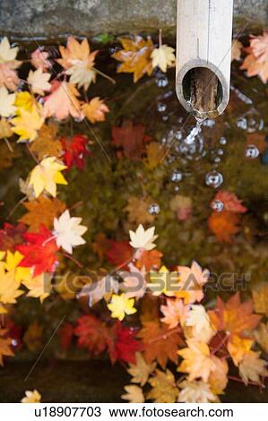Stock Image - Water running from bamboo pipe with autumn leaves on water surface. Fotosearch