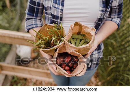 Woman carrying brown bags of vegetable at allotment View Large Photo Image Picture - Woman carrying brown bags of vegetable at allotment. Fotosearch