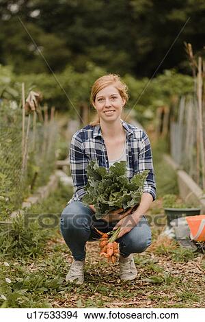 Picture - Woman carrying cabbage and carrots at allotment. Fotosearch