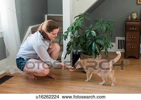 Picture - Woman feeding cat at home. Fotosearch