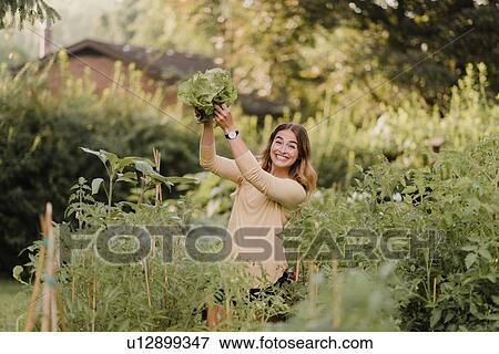 Stock Photo - Woman gardener feeling triumphant with lettuce from garden. Fotosearch