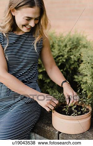 Stock Photo - Woman gardener tending to seedlings. Fotosearch