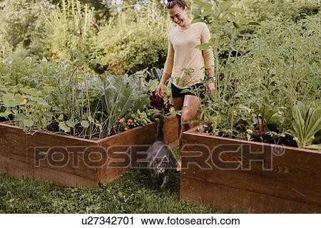 Stock Image - Woman gardener with cat in garden. Fotosearch