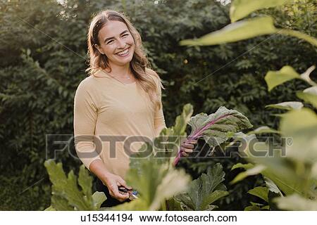 Woman gardener with fresh produce from garden View Large Photo Image Picture - Woman gardener with fresh produce from garden. Fotosearch