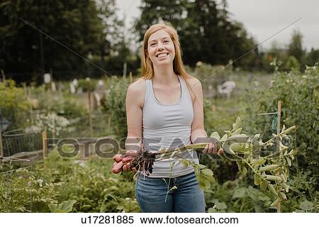 Woman holding bunch of potatoes at allotment View Large Photo Image Stock Photography - Woman holding bunch of potatoes at allotment. Fotosearch