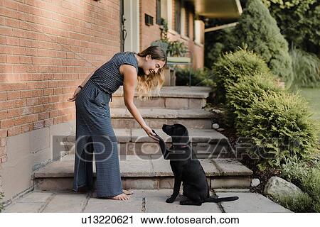 Woman shaking paws with pet dog View Large Photo Image Stock Image - Woman shaking paws with pet dog. Fotosearch