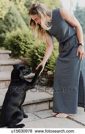 Woman shaking paws with pet dog View Large Photo Image Stock Photo - Woman shaking paws with pet dog. Fotosearch