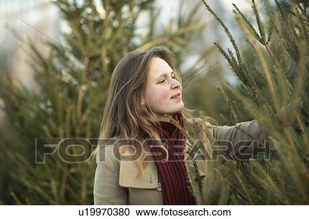 Woman shopping for Christmas tree, Christmas Market, Freiburg, Deutschland View Large Photo Image Stock Image - Woman shopping for Christmas tree, Christmas Market, Freiburg, Deutschland. Fotosearch