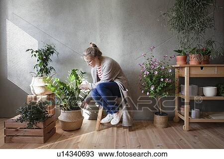Stock Image - Woman tending to potted plants in indoor garden. Fotosearch