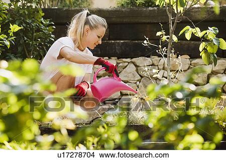 Picture - Woman watering flowers in garden. Fotosearch