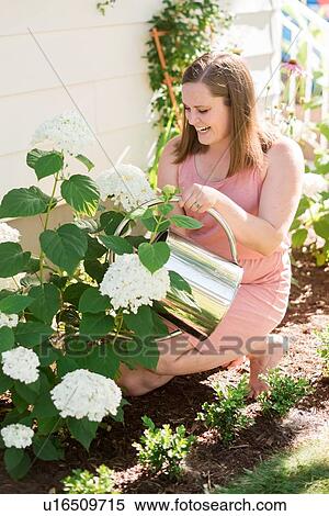 Stock Photography - Woman watering flowers in garden. Fotosearch