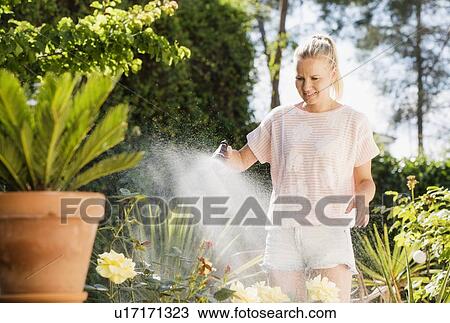 Stock Image - Woman watering plants with water hose in garden. Fotosearch