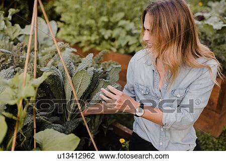 Woman working in her garden View Large Photo Image Stock Image - Woman working in her garden. Fotosearch