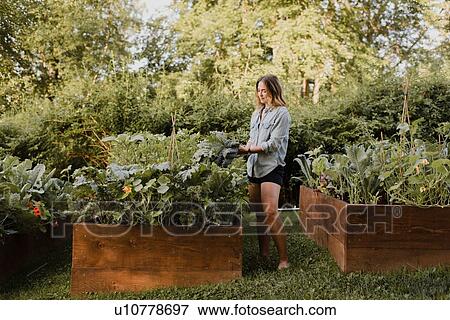 Woman working in her garden View Large Photo Image Stock Photo - Woman working in her garden. Fotosearch