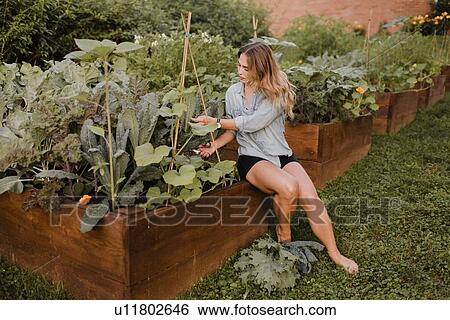Woman working in her garden View Large Photo Image Stock Photograph - Woman working in her garden. Fotosearch