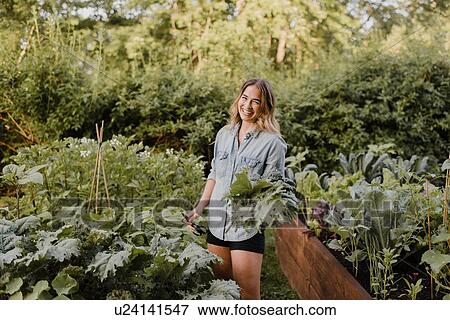 Stock Photo - Woman working on plants and vegetables in her garden. Fotosearch