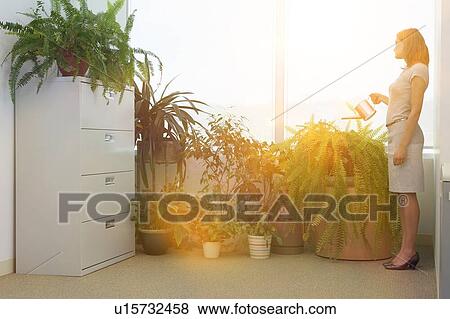 Women watering potted plants at home office View Large Photo Image Stock Photo - Women watering potted plants at home office. Fotosearch
