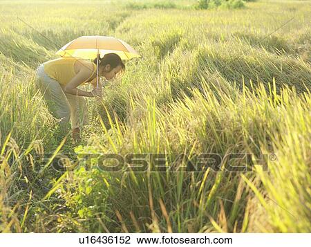 Adventure Travel View Large Photo Image Stock Image - Adventure Travel. Fotosearch