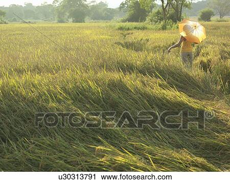 Adventure Travel View Large Photo Image Stock Image - Adventure Travel. Fotosearch