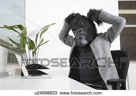 Angry young man in gorilla mask looking at laptop at office View Large Photo Image Stock Image - Angry young man in gorilla mask looking at laptop at office. Fotosearch