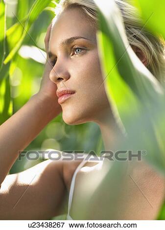 Stock Photo - beauty and nature. Fotosearch