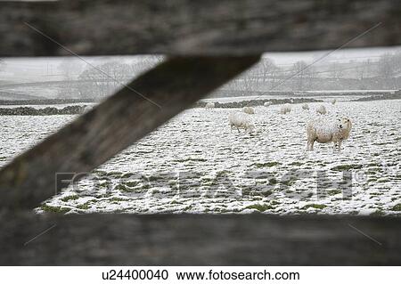 Stock Image - British Snowscapes. Fotosearch