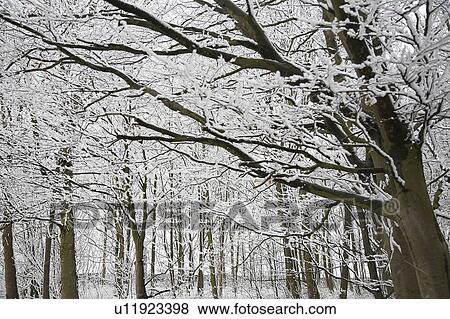 Stock Photo - British Snowscapes. Fotosearch