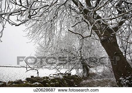 Stock Photo - British Snowscapes. Fotosearch