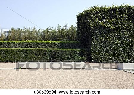Picture - British Wall with Hedges. Fotosearch
