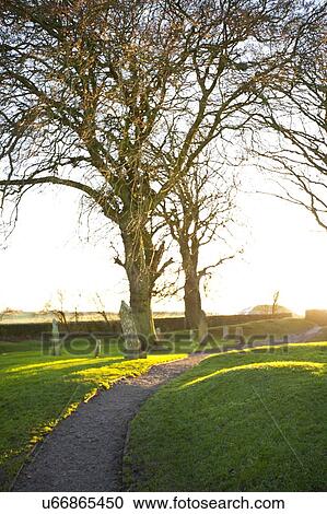 burial site, cemetery, daytime, clear sky, setting sun, sun flare, glint, grave, tree, memorial, nobody, outdoors, sky, sunshine, travel, Hill of Tara, County Meath, Ireland, explore, journey, uncertainty, adventure, path, pathway, track, grass, beauty View Large Photo Image Stock Image - burial site, cemetery, daytime, clear sky, setting sun, sun flare, glint, grave, tree, memorial, nobody, outdoors, sky, sunshine, travel, Hill of Tara, County Meath, Ireland, explore, journey, uncertainty, adventure, path, pathway, track, grass, beauty. Fotosearch