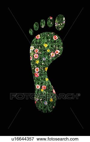 Stock Photo - Carbon Footprint concept of green plant footprint. Fotosearch